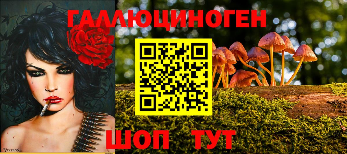 Заводоуковск  Псилоцибиновые грибы Psilocybine cubensis  цена   Вход с VPN 