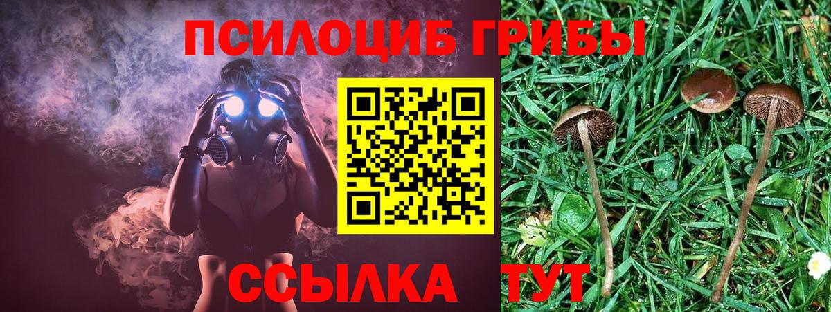 Галлюциногенные грибы ЛСД Заводоуковск