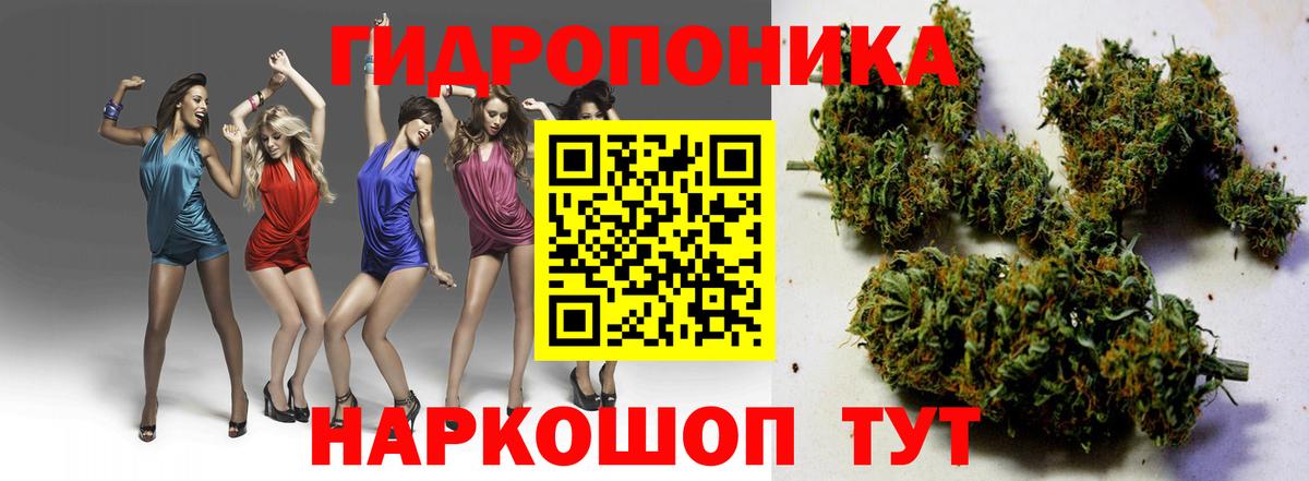 Шишки марихуана индика Заводоуковск